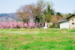 福島県飯岡