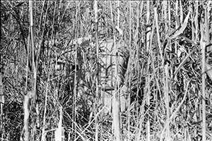 薮の中に起き忘れられた石像