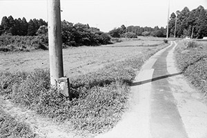 里山の分かれ道