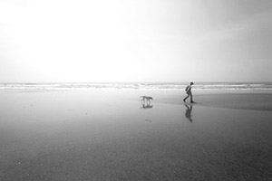 九十九里浜　波打ち際を歩く人と犬
