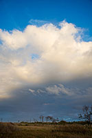 大きな雲