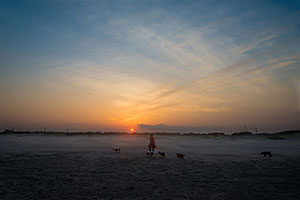 九十九里浜　夕日の中を家路に着く友