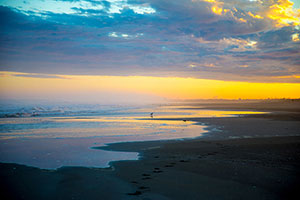 九十九里浜　美しい夕焼けに立つカモメ