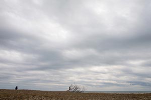 九十九里浜　大きな浜と大きな海と大きな空と小さな人