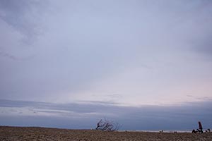 九十九里浜　夕焼けに立つ犬