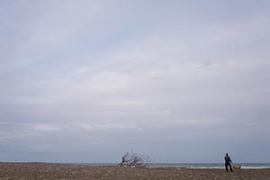 九十九里浜　入道雲と犬