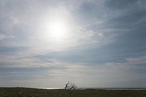 九十九里浜　半分の風景