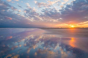 九十九里浜　夕焼けに立つ犬