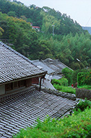 伊豆　里山と家の屋根２